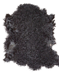 Kalgan Lamm (gelockt), Schwarz gefärbt