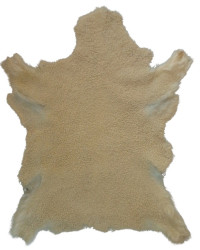 Schmaschen (kurz gelockt), Beige gefärbt