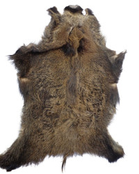 Wildschweinfell aus Schweizer Jagd