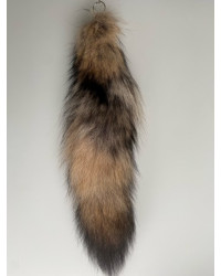 Fuchslunte Coyote (Ausland)