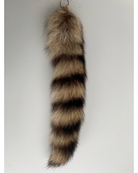 Lunte Waschbär (Ausland)
