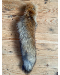 Rotfuchslunte (Schweiz)